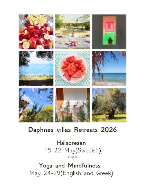 Yoga retreat information
